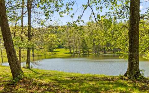 384 Acres Clouse Hill Road, Tracy City, TN 37387