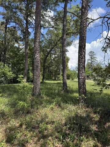 TBD Hampton Rd., Conway, SC 29527
