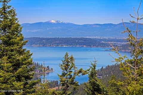 9338 S CARIBOU RIDGE RD, Harrison, ID 83833