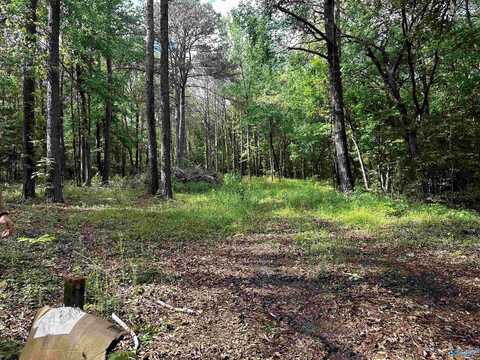 152 Robertson Street, Altoona, AL 35952