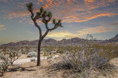 4444 Skyline Drive, Joshua Tree, CA 92252