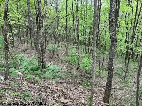 TBD Moyer Hollow Road, Elkins, WV 26241