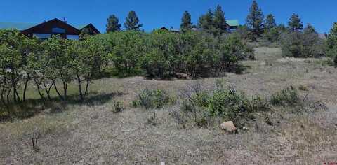 36 Caballero Drive, Pagosa Springs, CO 81147