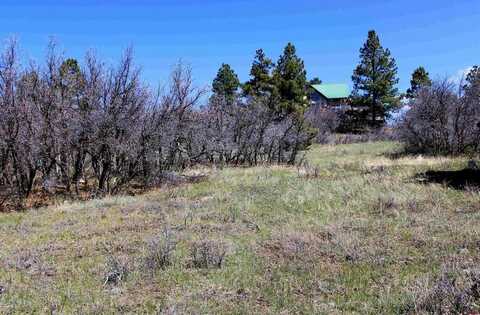 36 Caballero Drive, Pagosa Springs, CO 81147