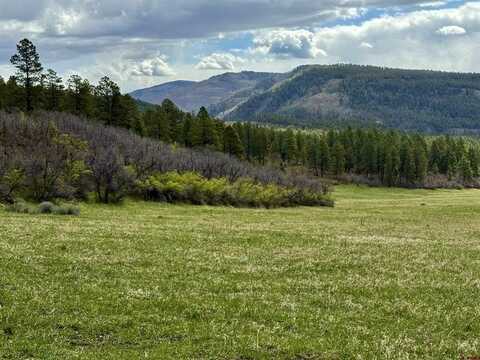 15098 CR 240, Bayfield, CO 81122