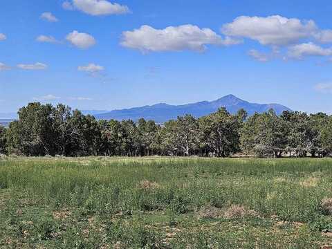TBD Road S.2, Dolores, CO 81323