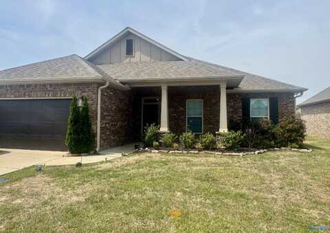 12893 Hudbug Drive, Madison, AL 35756