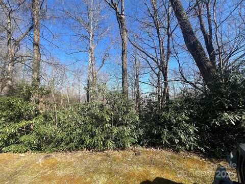 0000 Reserve Road, Pisgah Forest, NC 28768