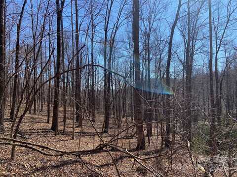 Tbd Glen Ridge Trail, Lake Lure, NC 28746