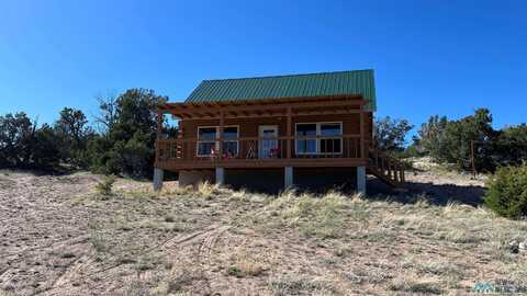 Lot 88 Starfire Loop Road, Quemado, NM 87829