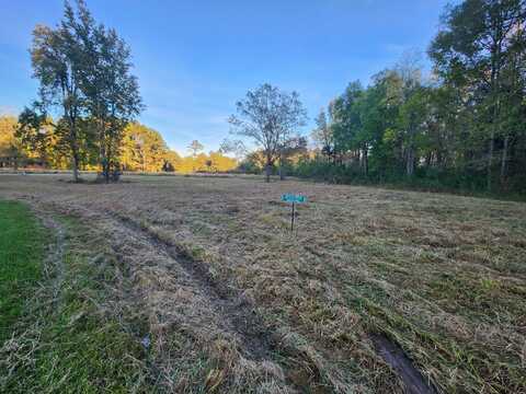 1082 E Settings Drive, Yemassee, SC 29945
