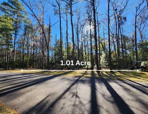 245 Bull Point Drive, Seabrook, SC 29940