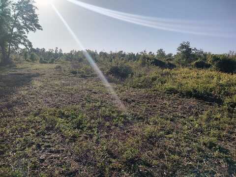 County Road 351, Mayo, FL 32066