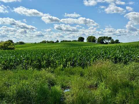 Carriage Trail, Macksburg, IA 50155