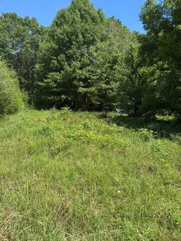 0 Davis Dr., Georgetown, GA 39854