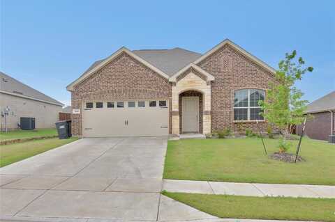 1305 Blue Spring Drive, Anna, TX 75409