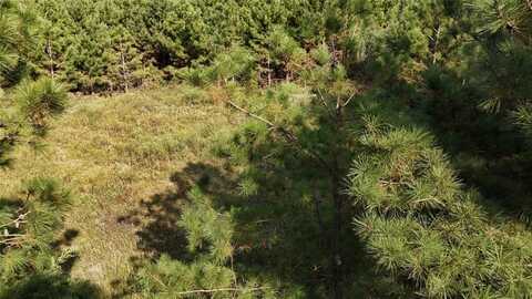 Tbd County Road 3121, Henderson, TX 75669