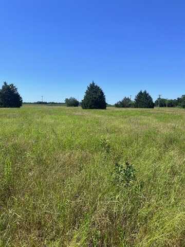 00 SE CR 3321, Kerens, TX 75144
