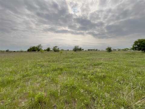 1024 Goodnight Trail, Perrin, TX 76486