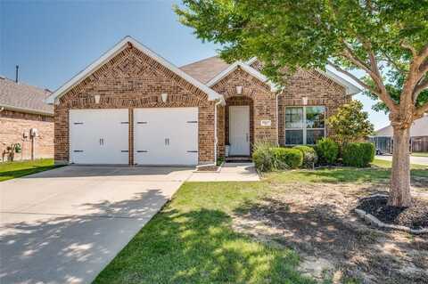 2617 Castle Creek Drive, Little Elm, TX 75068