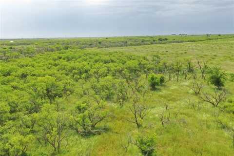 Tbd FM 2321 TRACT 2, Bellevue, TX 76228