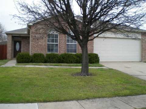 2213 Willow Drive, Little Elm, TX 75068