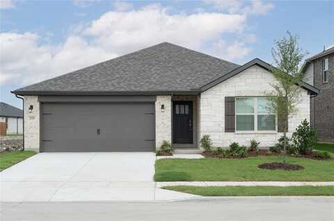 2529 Freeman Street, Anna, TX 75409