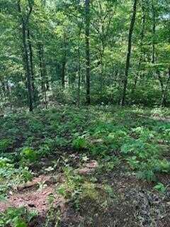 Lot 110 Rivermist Pl, Franklin, NC 28734