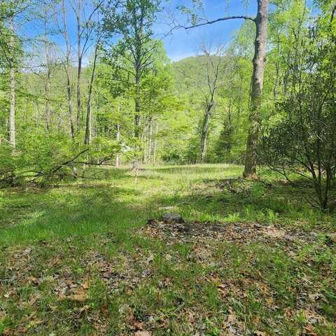 117 Holly Lane, Franklin, NC 28734