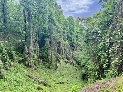 Watia Rd, Bryson City, NC 28713