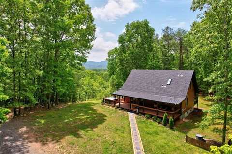 94 Rhinas Trail, Mineral Bluff, GA 30559