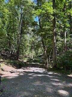 176 ABBEY Court NE, Ranger, GA 30734