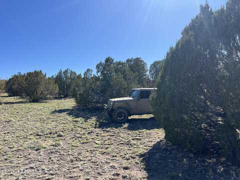 1364 Last Chance Road, Seligman, AZ 86337