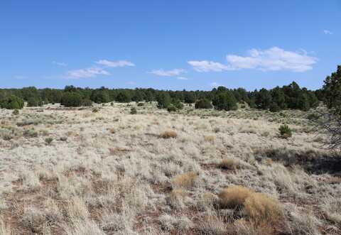 13 Johnston Dr., Pie Town, NM 87827