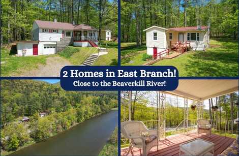10313 County Highway 17, East Branch, NY 13756