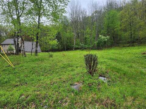 1305 HOLLY HILL RD., VESTAL, NY 13850