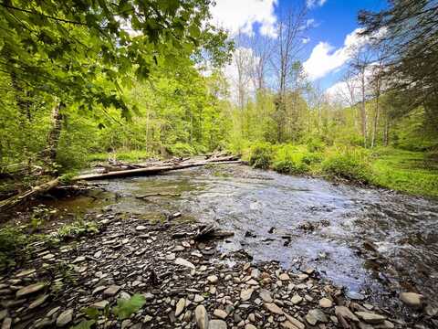 0 Oak Hill Rd, Catharine, NY 14805