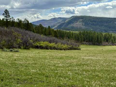 15098 CR 240, Bayfield, CO 81122