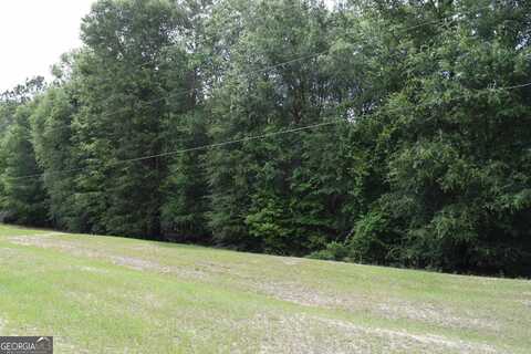 0 Wild Turkey, Gibson, GA 30810