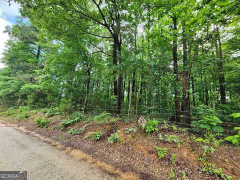 2760 Kesler, Carnesville, GA 30521