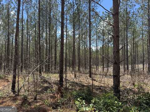 Lot 1 Lipham, Franklin, GA 30217