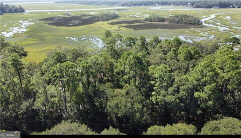 Lot 129 Julienton, Townsend, GA 31331