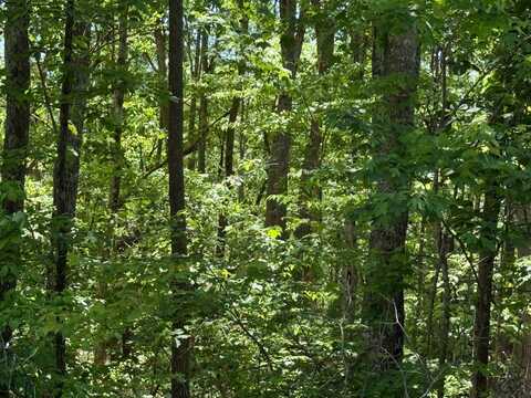 19074 Key Hollow Ln, Crawford, TN 38554