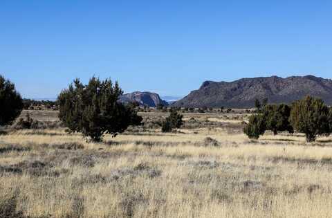 Tbd Tract 5 Bostwick Park Road, Montrose, CO 81403