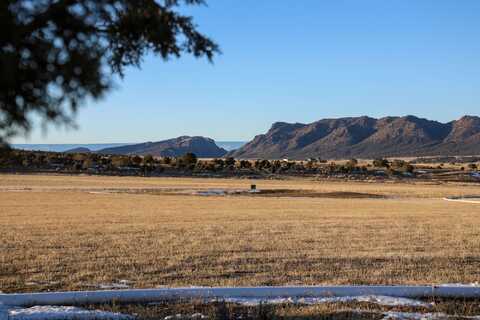 Tbd Tract 8 Bostwick Park Road, Montrose, CO 81403
