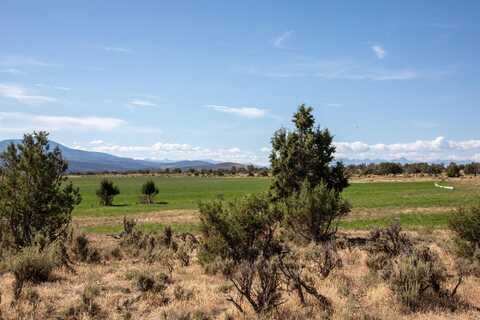 Tbd Track 13 Bostwick Park Road, Montrose, CO 81401