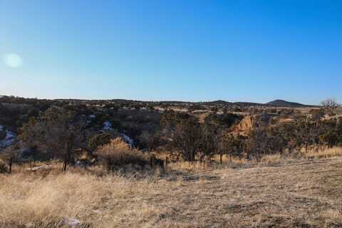 Tbd Tract 10 Bostwick Park Road, Montrose, CO 81403