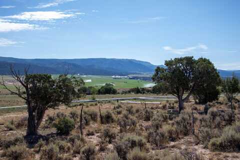 Tbd Tract 14 Bostwick Park Road, Montrose, CO 81401