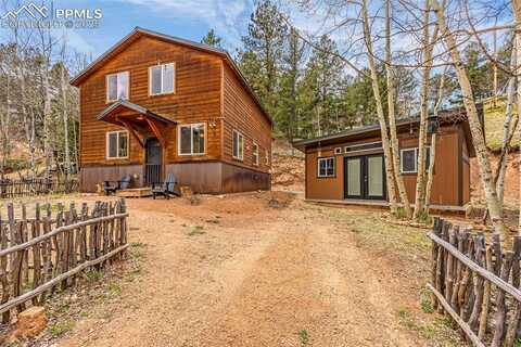 325 Willow Road, Divide, CO 80814