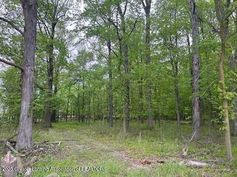 0 W Hyde Road, Saint Johns, MI 48879